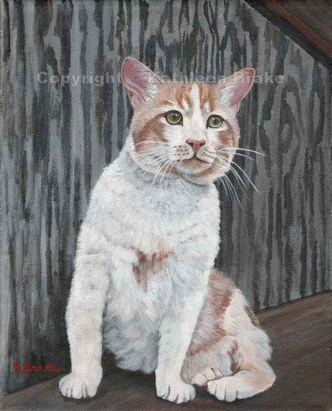Barn Cat
