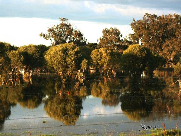 Lake Side 