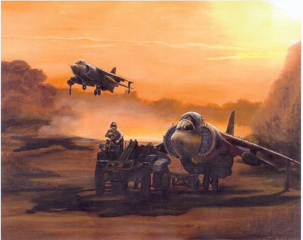 Harrier Sunset