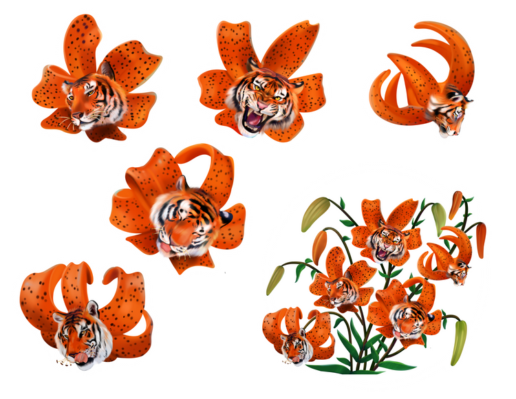 Sticker Tiger lily