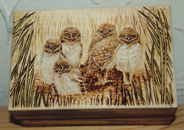 Burrowing Owls - Pyrography
