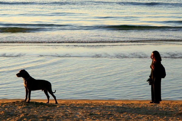 Sunset at the beach