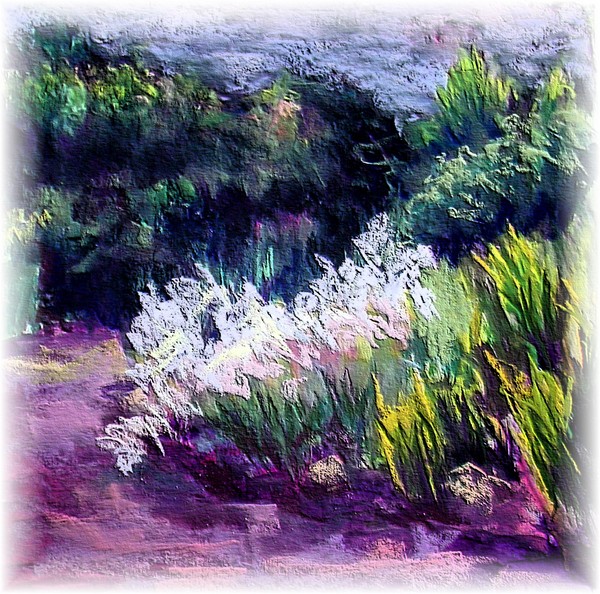 Summer Splendor