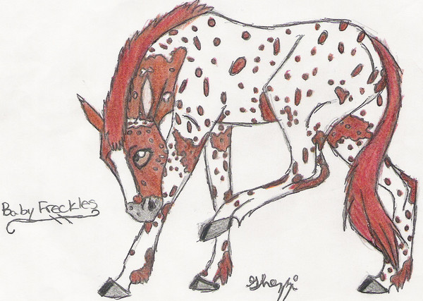 Freckles as a filly