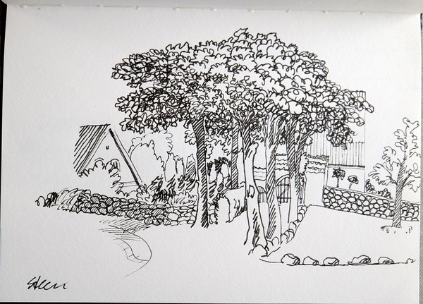 Trees