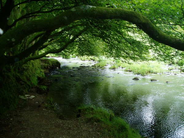 Scottish Scene