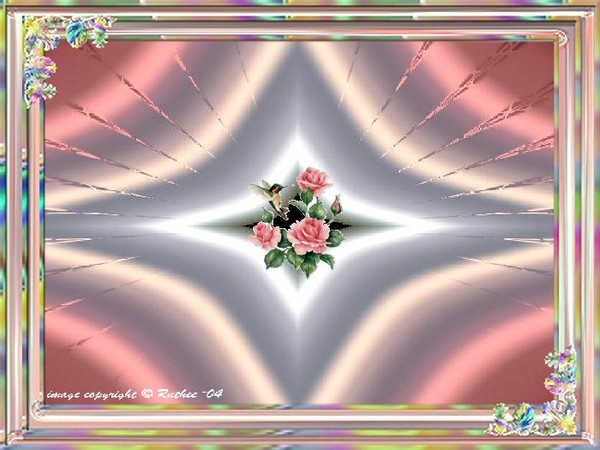 Pink Roses
