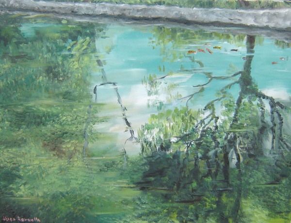 Baby koi paradise