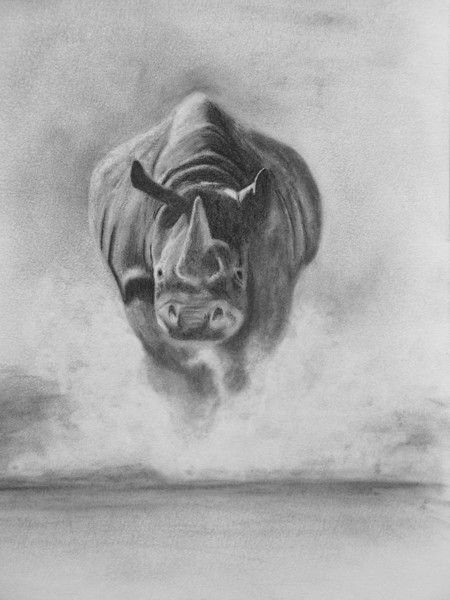 Rhino