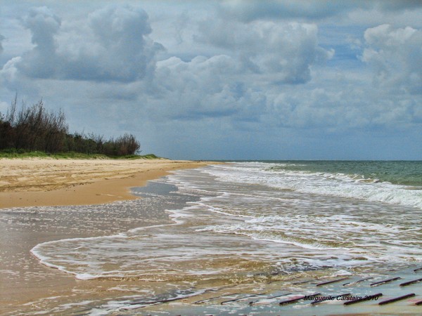 Surf