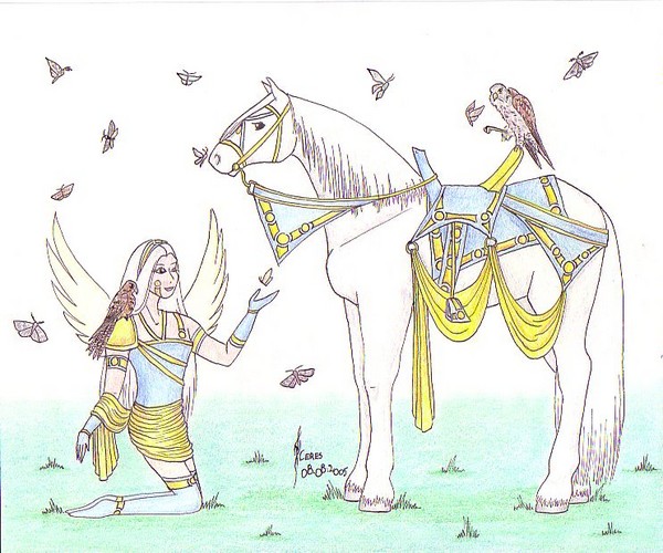 Visit of the Sun