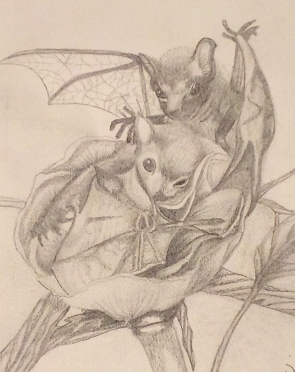 IMG 2025-11-29-22-23-44-866