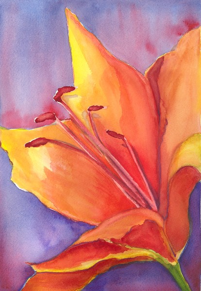 Lily