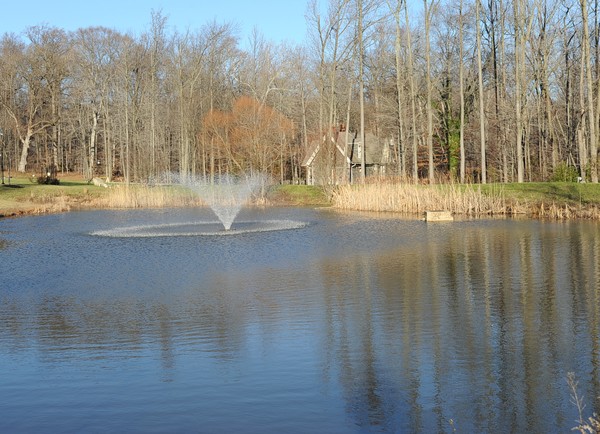 Rockford Park Fountain