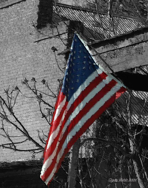 Red, White and Blue