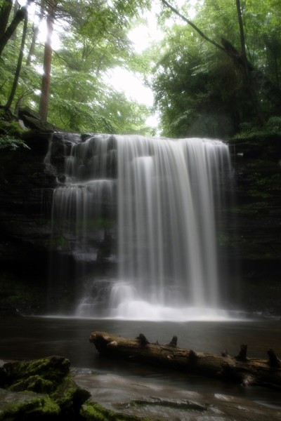Misty Falls