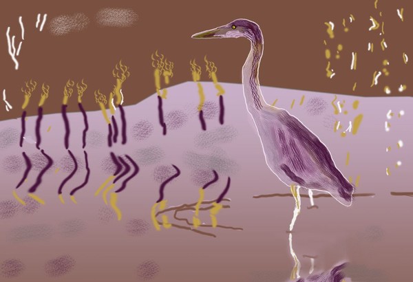 O323 Heron Fishing