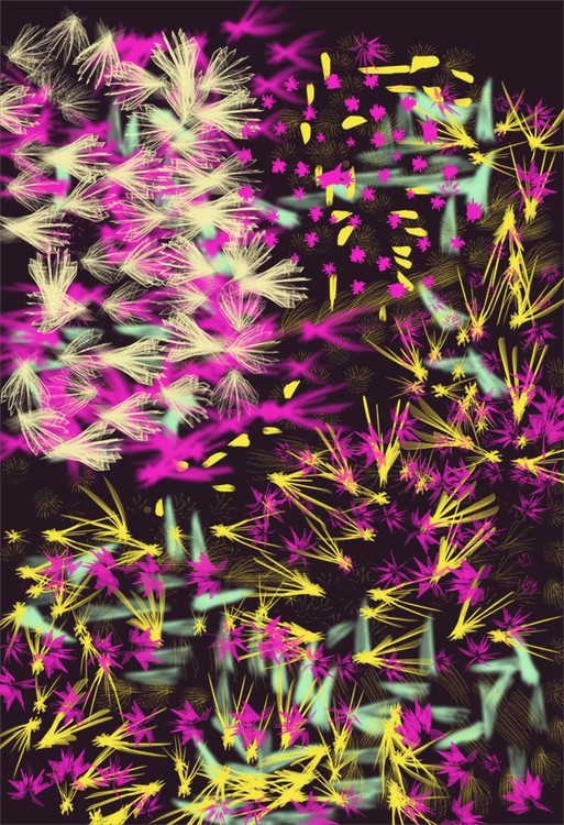 Flowers on Black O