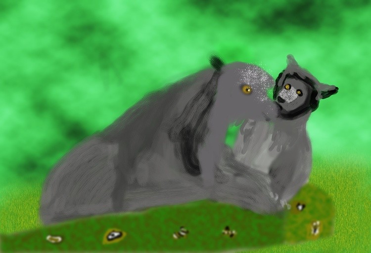 Black Bear & Pup   P383