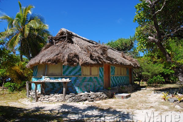 Myster Island House
