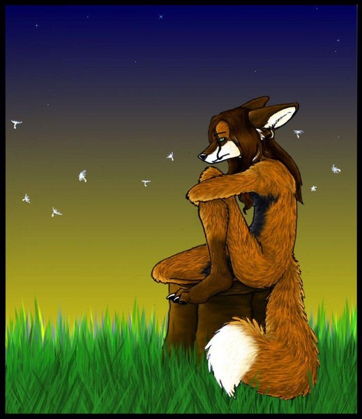 Contemplate
