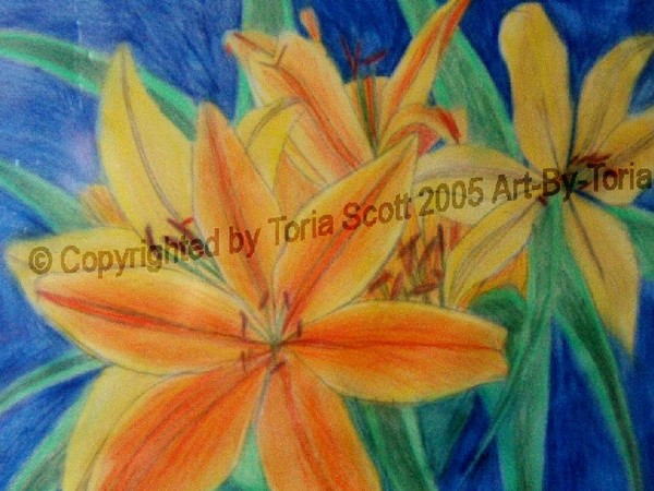 Lillies