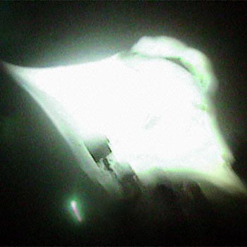 Kona Ghost, copyright MCO, 1999