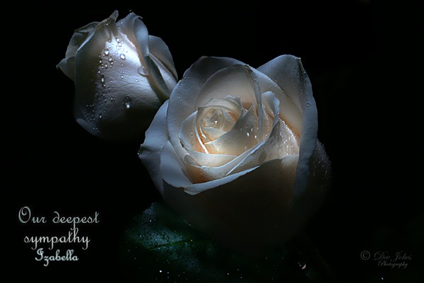 Our Deepest Sympathy Izabella