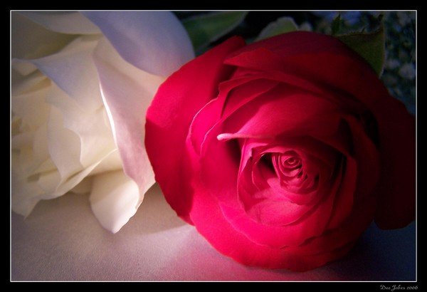 Faithful Love