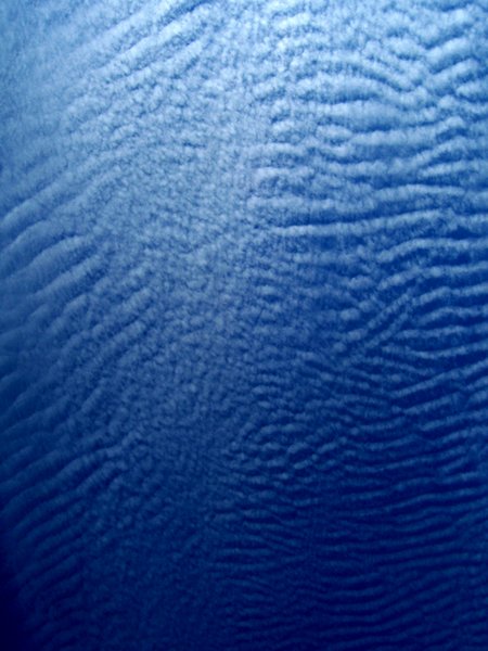 Sea of the Sky