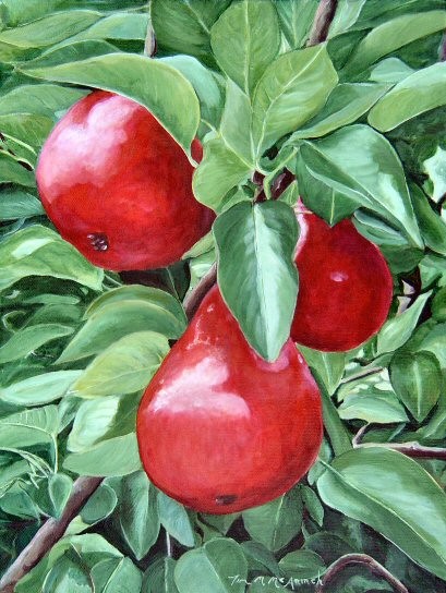 Ascending Pears