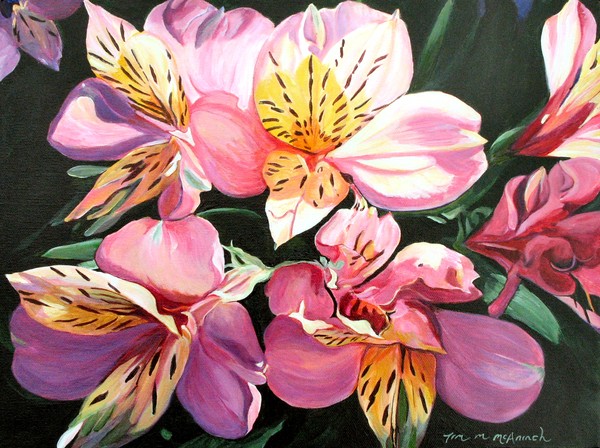 Peruvian Lillies, Alstroemeria 1