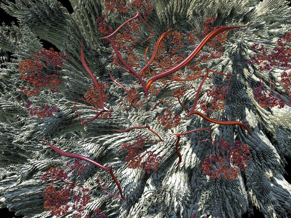 Dry Flowers (2)
