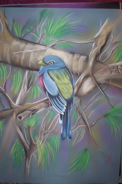 blue pastel bird
