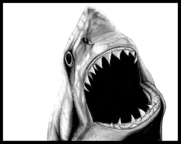Afraid of the Water