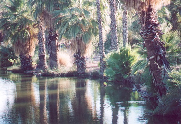 Peaceful Lake