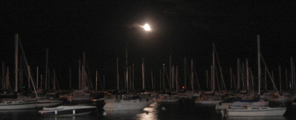 Moonlight Sails