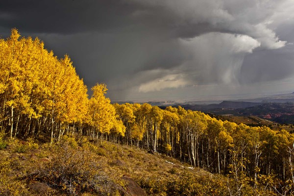Storm, Golden Aspens, and Capital Reef