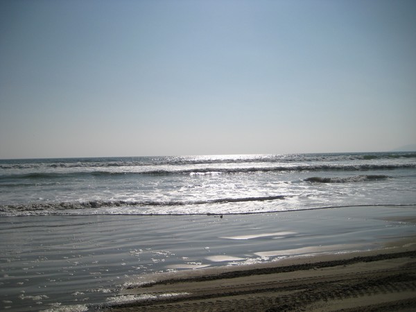 Pismo Beach II