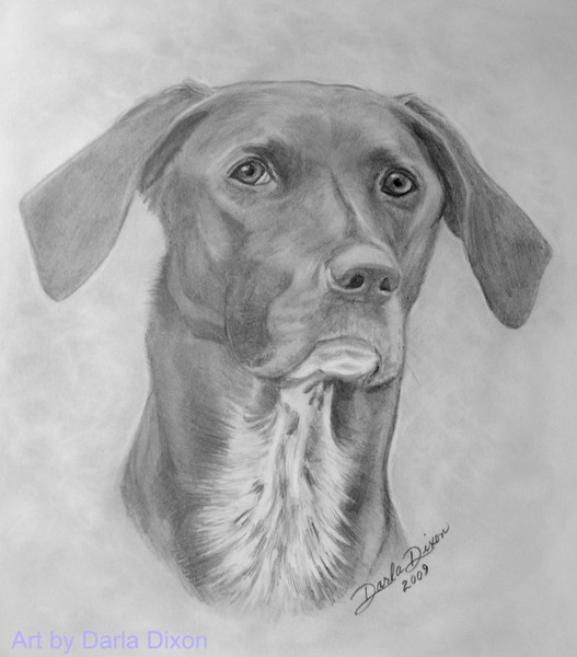 Portrait of Chester