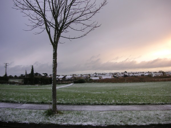 Expecting  Frost
