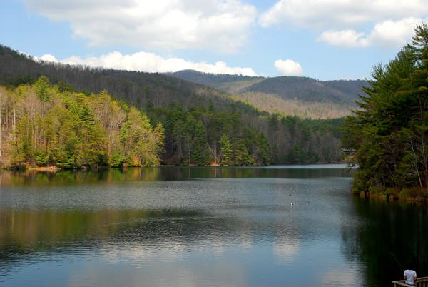 Day On The Lake In Georgia.