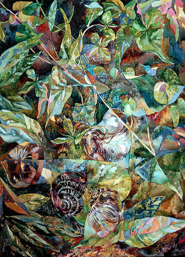  SHELLS AND PLANTS