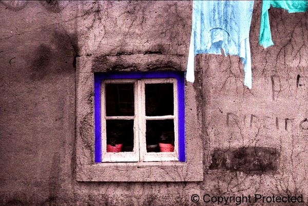 Window