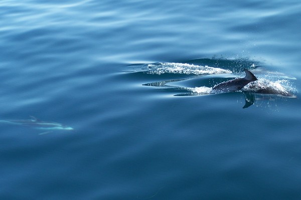 Breaking The Surface