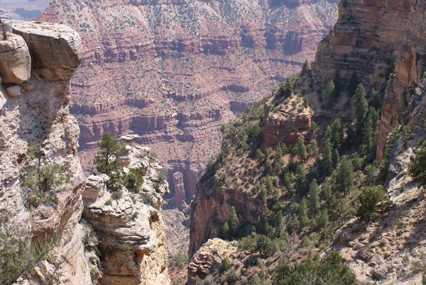 THE GRAND CANYON
