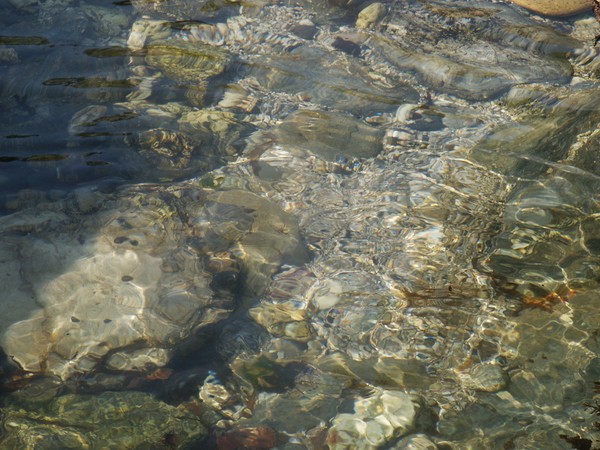 Shimmery Rock Pool