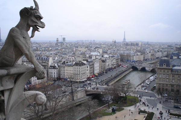 View from Notre Dame