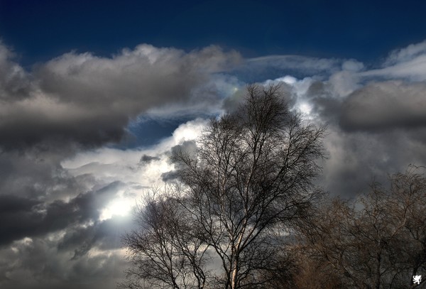 GLOOM AND EXPECTATION