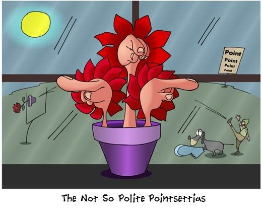 The  Not-So-Polite Pointsettia